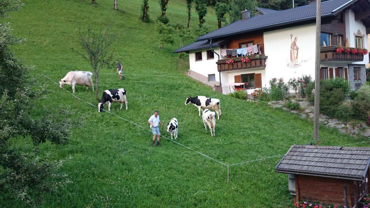 Homestay Musikhof Lexer *