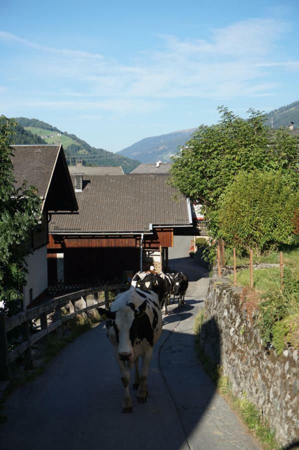Musikhof Lexer