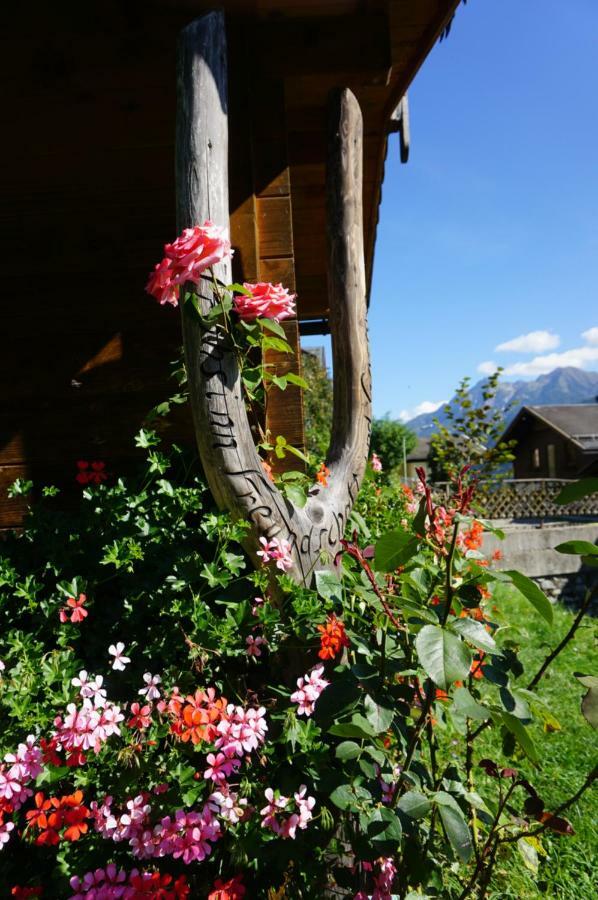 Musikhof Lexer Homestay Liesing